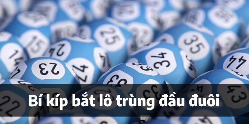 Bí kíp bắt lô trùng đầu đuôi